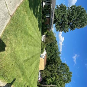 gardening service by Elegant Lawn & Landscaping LLC reviewed on August 21, 2025