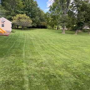 landscape maintenance by Lawn and Beyond reviewed on August 18, 2025