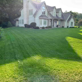 turf maintenance by Salvus Lawncare reviewed on June 17, 2025