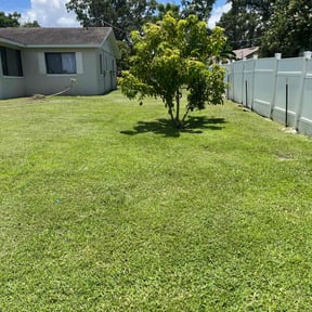 yard service by Lawn Impression reviewed on November 22, 2025