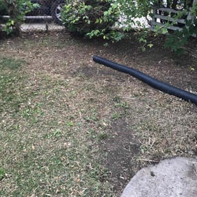 Leaf Removal by All Star Yard Maintenance reviewed on August 18, 2026