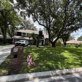 landscaping by BLC3 LLC / Turf Guys reviewed on August 15, 2025