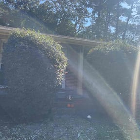 Bush Trimming by AD Lawn Care reviewed on October 21, 2025