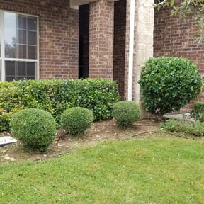 Bush Trimming by M & J Lawn Care Service reviewed on August 15, 2025