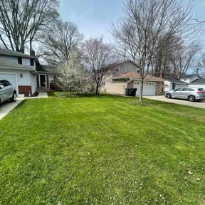 residential landscaping by Honestly Ionesty reviewed on August 16, 2025
