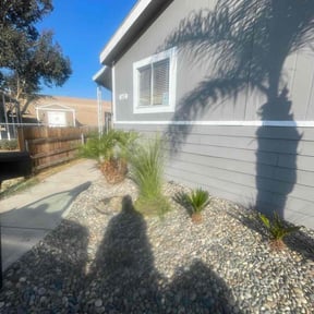 Bush Trimming by SM Lawn Services reviewed on July 30, 2021