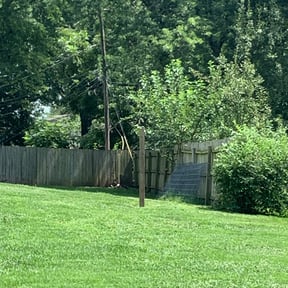 Bush Trimming by Optimistic Landscaping LLC reviewed on August 18, 2025