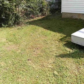 Bush Trimming by Escobar Landscaping reviewed on August 21, 2025