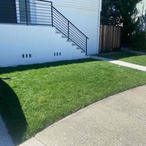 yard service by A and J Landscaping reviewed on August 15, 2025