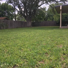 lawn maintenance by Champ's Next Level Landscaping LLC reviewed on May 3, 2024