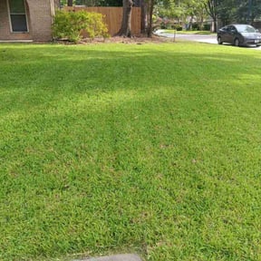 yard maintenance by After Care Express SVC reviewed on August 21, 2025
