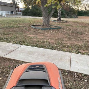 Leaf Removal by Get Right Lawn Care reviewed on March 8, 2026