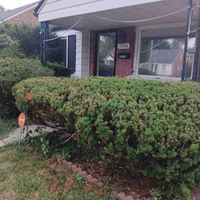 Bush Trimming by A - Z Mowing reviewed on July 31, 2026