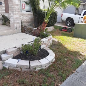 Bush Trimming by Zayt Lawncare reviewed on August 19, 2025
