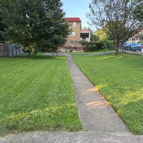 residential landscaping by KCT Landscaping reviewed on August 18, 2025