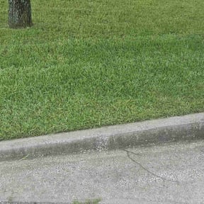 lawn service by Colon Landscaping reviewed on August 9, 2021