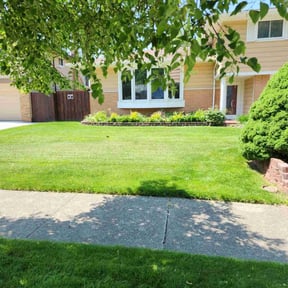 grass cutting by Archi&#039;s Lawn Care reviewed on December 4, 2023