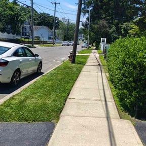 turf maintenance by F&M LAWNCARE reviewed on August 15, 2025