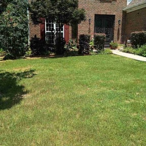 Bush Trimming by Loop's Landscaping reviewed on July 9, 2026
