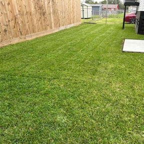 lawn care by Early Risers Lawncare Service reviewed on September 13, 2024