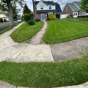 gardening service by Masterco Reality and Facility Management reviewed on August 18, 2025
