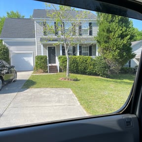Bush Trimming by Deal's Lawn Maintenance reviewed on August 18, 2025