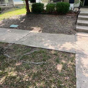 Leaf Removal by N&amp;C Lawn Service LLC. reviewed on September 17, 2025