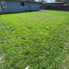 yard work by GrassMate Lawn Care reviewed on August 16, 2025