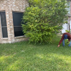 Bush Trimming by CH Lawn reviewed on November 22, 2025