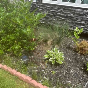 Flower Bed Weeding by Flippo's Land Management &amp; Property Services reviewed on July 2, 2026