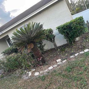 Bush Trimming by R&amp;N lawn care reviewed on November 23, 2025