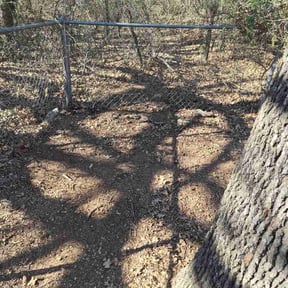 Leaf Removal by R&amp;N services of ocala fl llc reviewed on March 14, 2026