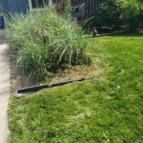 Flower Bed Weeding by Yanez Brothers Landscaping reviewed on August 21, 2025