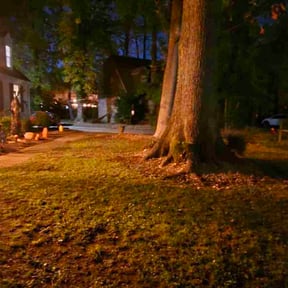 Leaf Removal by Land recovery solutions reviewed on November 10, 2025