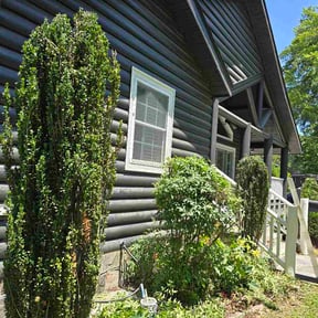 Bush Trimming by Lee bee’s lawn maintenance reviewed on June 1, 2026