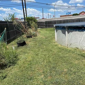 Bush Trimming by A & B landscape service inc reviewed on August 20, 2025