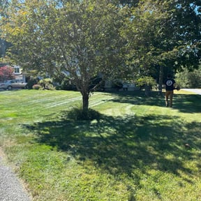 yard maintenance by Metani landscaping reviewed on August 15, 2025
