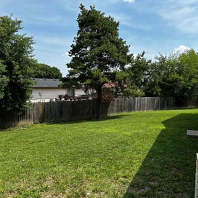 landscaping services by Phal SP landscape reviewed on August 17, 2025