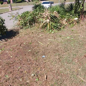 Bush Trimming by SKLandscaping & lawn care reviewed on August 19, 2025