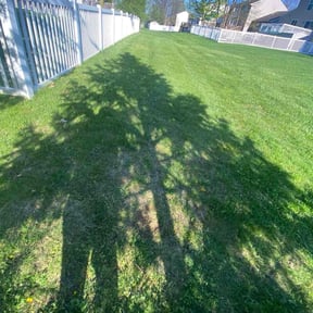 landscape maintenance by La Roca Landscaping reviewed on August 19, 2025