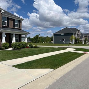 landscaping services by Mann Services reviewed on August 15, 2025