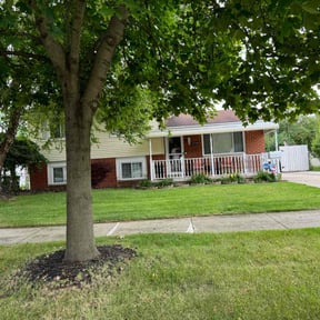 landscape maintenance by Schlener Lawn Care reviewed on August 20, 2025