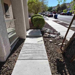 Bush Trimming by Caesar’s Premier Landscaping reviewed on July 3, 2026