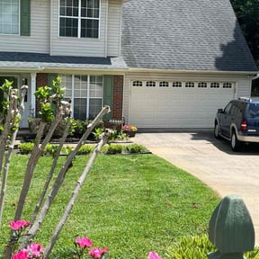 Long Grass Cleanup by Greene’s Lawn Care & More LLC reviewed on August 21, 2025