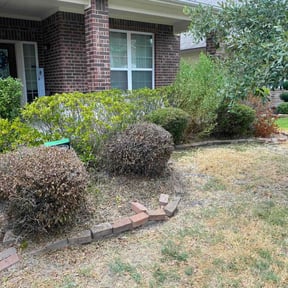 Bush Trimming by classic cuts lawn care reviewed on August 20, 2025