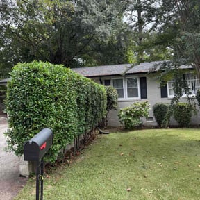 Bush Trimming by Improved lawns reviewed on November 10, 2025