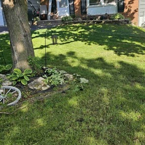 residential landscaping by A-1 Affordable Lawn Care reviewed on August 18, 2025