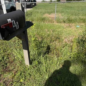Bush Trimming by Landyns Lawncare reviewed on August 24, 2026
