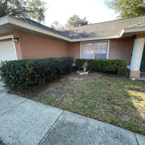 Bush Trimming by East Side Property Services LLC reviewed on August 17, 2025