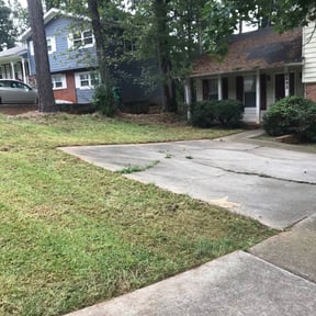 Bush Trimming by Copperfield Lawn reviewed on August 15, 2025